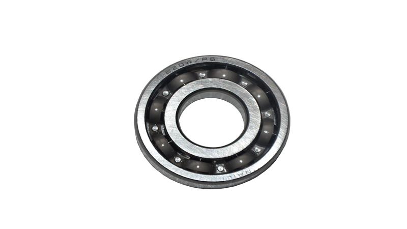 BİLYA (6204) (GRACE 202)